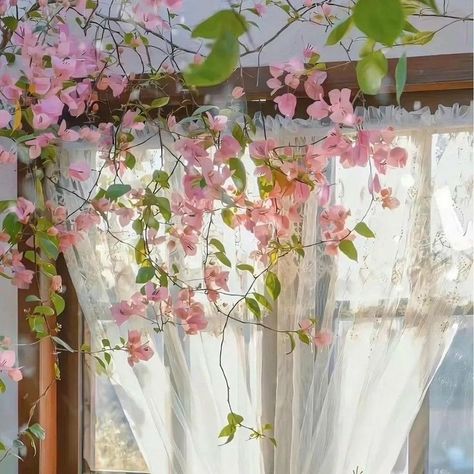 Green Floral Aesthetic, Sakura Room, Summer Sun Aesthetic, Green Nature Aesthetic, Summer Spring Aesthetic, Flower Sakura, Aesthetic Sun, Sun Aesthetic, Pink Sakura