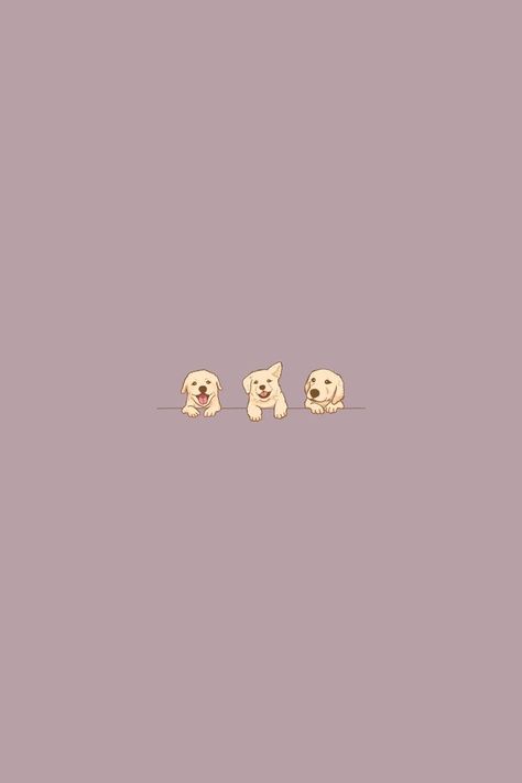 Golden Retriever Background, Dog Phone Wallpaper, Labrador Wallpaper, Perro Doberman Pinscher, Golden Retriever Wallpaper, Dog Wallpaper Iphone, Paw Wallpaper, Insta Reel, Room Collage