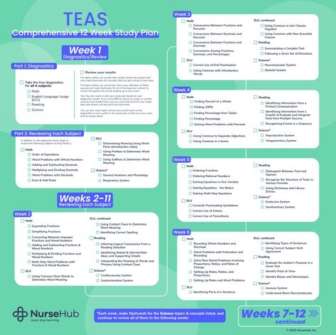 TEAS 7 Study Plan | NurseHub Teas Study Schedule, Teas 7 Exam, Teas 7, Study Notebook, Study Schedule, Study Plan, Study Guide, Nursing, Notebook