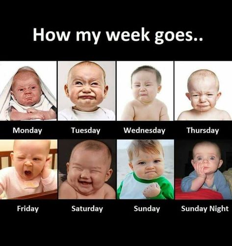 How my week goes... quotes quote days friday monday week sunday wednesday thursday saturday tuesday Baby Jokes, Exam Quotes Funny, Funny Baby Quotes, Funny Attitude Quotes, Quotes Humor, Funny Texts Jokes, School Quotes Funny, Funny School Jokes, Funny Mom Quotes