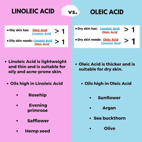 Science of Skincare & Makeup on Instagram: “Hi friends, ⁣⁣ ⁣⁣ Today's comparison is between Linoleic Acid and Oleic Acid. Quite a few of you asked me to break down what exactly these…” Carrier Oils For Skin, Philosophy Skin Care, Bloxburg Bedroom Ideas, Bloxburg Bedroom, Skin Facts, Tips For Oily Skin, Skin Care Benefits, Skin Science, Skin Therapy