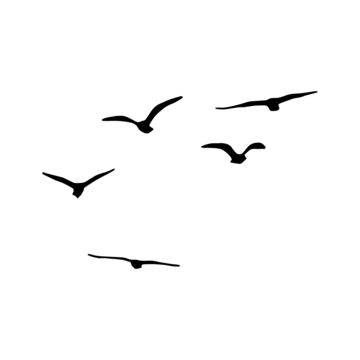 Flock Of Birds Flying, Flying Seagull, Birds Png, Flying Bird Silhouette, Bird Outline, Wild Goose, Watercolor Clouds, Wallpaper Photo Gallery, Birds In The Sky