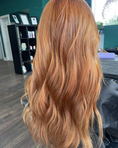 Terracotta vibes - GINGERS you’re in!! 🍂🍂🍂 Hello Autumn 🍂🍂🍂🍂🍂🍂 Hair by Emma Devine ❤️❤️ #terracotta #hair #terrracottahair #gingerhair #gingerhairdontcare #redheadgirl #hairideas #hairgoals #hairgoalsachieved Terracotta Hair, Redhead Girl, Ginger Hair, Hello Autumn, Hair Goals, Ginger, Hair