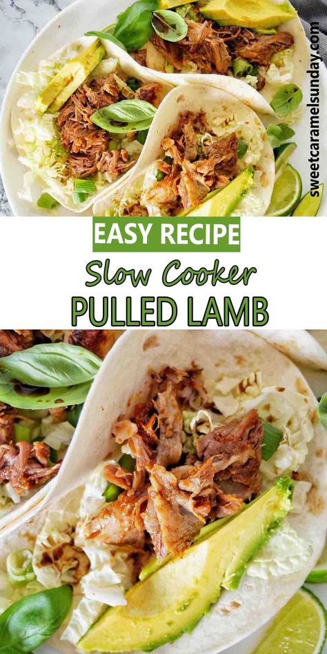 Pulled lamb meat in soft shelled tacos on white plate with avocado and lime wedges. Lamb Tacos Recipes, Crockpot Lamb, Lamb Taco, Pulled Lamb, Lamb Roast Recipe, Lamb Stew Recipes, Slow Cooker Lamb, Slow Cooked Meat, Slow Cooker Stew