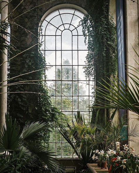 Dark Green Academia, Scottish Garden, Fake Window, Frances Hodgson Burnett, Forest Aesthetic, Landscape Photography Nature, Botanic Garden, Higher Design, Cozy Place