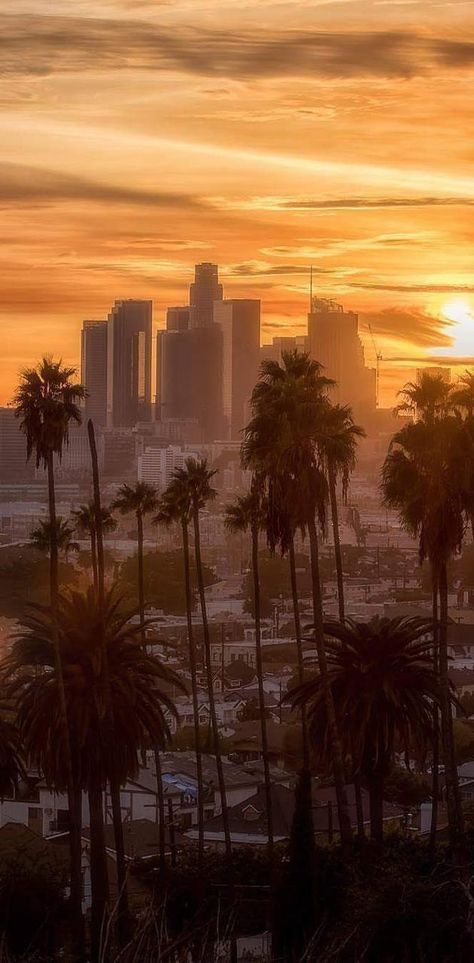 Iphone Wallpaper Los Angeles, Sunset Los Angeles, Los Angeles Sunset, Los Angeles Wallpaper, Sunset Iphone Wallpaper, California Wallpaper, Los Angeles Aesthetic, Los Angeles Skyline, Episode Interactive Backgrounds