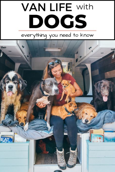 Living With Dogs, Campervan Life, Van Life Diy, Bus Life, Van Living, Travel Van, Kid Friendly Travel Destinations, Cool Vans, Camper Life