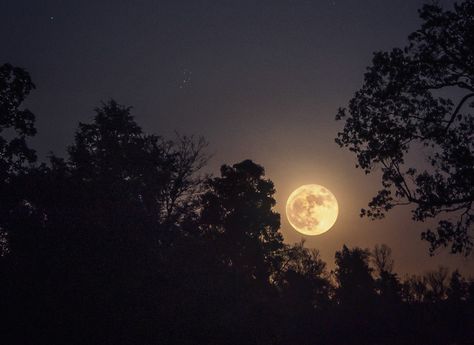 Moon Aesthetic For Laptop, Moon Friend Aesthetic, Moon Pc Wallpaper, Night Sky Moon, Moon Lover, Everything Is Blue, The Moon Is Beautiful, Look At The Moon, Sky Moon