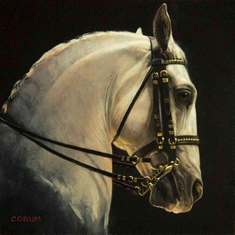 jaime corum art | Amazing Lippizzaner painting by Jaime Corum! Horse Artwork, Horse Trainer, Equestrian Art, Horse Portrait, Horse Drawings, Equine Art, Animals Artwork, Horse Training, Pretty Horses