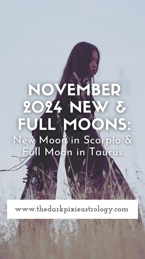 November 2024 New & Full Moons: New Moon in Scorpio & Full Moon in Taurus Super Moon 2024, New Moon In Scorpio 2024, Full Moon In Taurus 2024, November Full Moon 2024, Full Moon 2024, Full Moon Taurus, Taurus Full Moon, Scorpio Full Moon, Full Moon Meaning