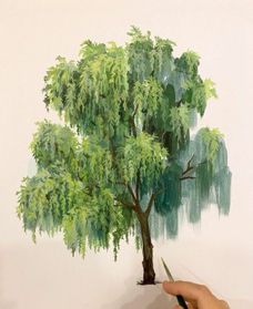 Willow Tree Art, Willow Tree Tattoos, Tree Watercolor Painting, Painting Birthday, Watercolor Tree, Gouache Art, Watercolor Trees, Tree Drawing, Easy Watercolor