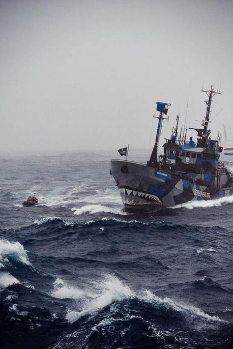 Sea Shepard, Dazzle Camouflage, Sea Shepherd, Float Your Boat, Ends Of The Earth, Photography Beautiful, Model Ships, Ocean Life, Water Crafts