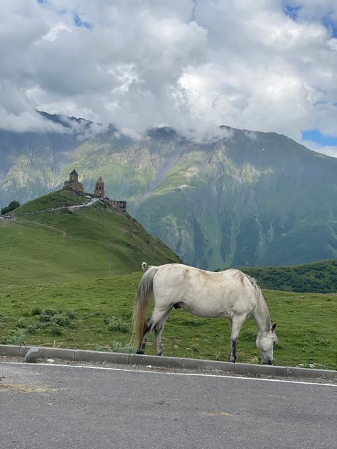 Kazbegi Georgia, Georgia Country, Nature Mountains, Wedding Vision, Horse Rider, Vintage Wedding, Georgia, Vision Board, Horses