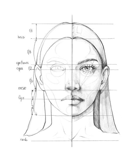 Face Drawing Perspective, Face Proportions Reference, Art Proportions, Face Sketch Tutorial, Colouring Pages Easy, Basic Portrait, Guy Sketch, Face Proportions Drawing, Sketch Body