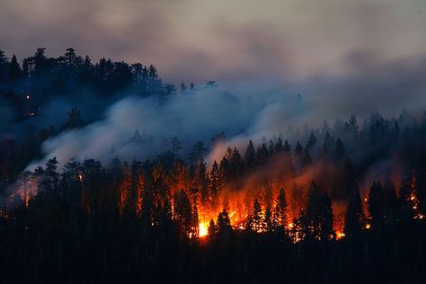 Burning Mountain, Bedford Falls, Wildland Fire, Burning Bridges, California Wildfires, Fire Image, Fire Photography, Wild Fire, Natural Ecosystem