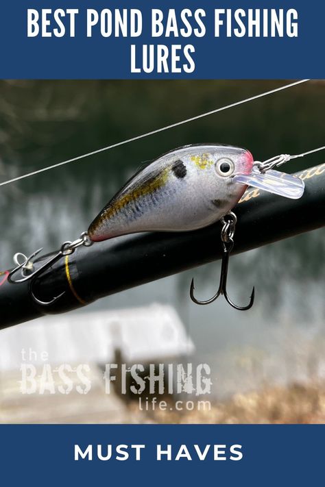 These are some excellent bass fishing lures for ponds. And the best part is, they are very snag-free! #bassfishing #pondfishing #fishing #largemouthbass #bassfishingtips Best Bass Lures, Fishing Hats For Men, Man Store, Fish Types, Largemouth Bass Fishing, Bass Lures, Different Fish, Bass Fishing Lures, Bass Fishing Tips