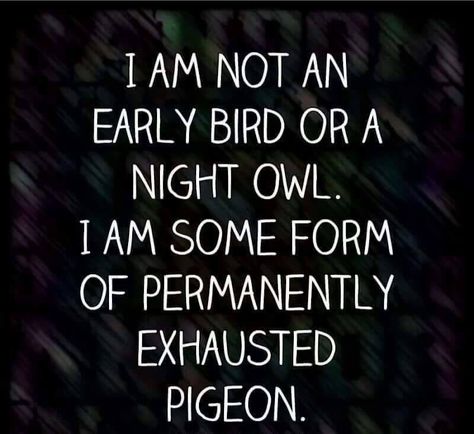 Permanently Exhausted Pigeon, Funniest Quotes Ever, No Energy, Totally Me, Night Owl, Early Bird, Sarcastic Quotes, Instagram Foto, Insomnia