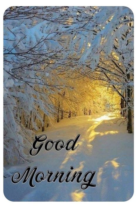 Good Morning January, Good Morning Winter, Morning Pic, Beau Gif, Love Good Morning Quotes, Good Day Sunshine, Good Morning Flowers Quotes, Good Morning Beautiful Pictures, Good Morning Beautiful Quotes