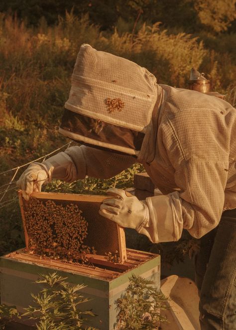 How a Deaf Beekeeper Takes Care of Bees | Bon Appétit Bee Keeper Aesthetic, Bee Keeper Illustration, Apiary Aesthetic, Bee Farm Aesthetic, Raising Honey Bees, Beekeeper Aesthetic, Bee Keeping Aesthetic, Beehive Aesthetic, Beekeeping Aesthetic