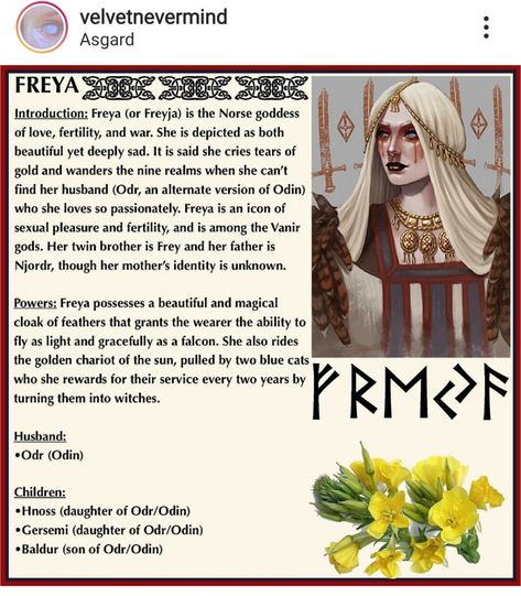 Freyja Goddess Norse Mythology, Norse Pagan Gods And Goddesses, Offerings For Odin, Freya Altar Ideas, Norse Gods Art, Freya Aesthetic, Pagan Goddesses, Norse Gods And Goddesses, Norse Goddesses
