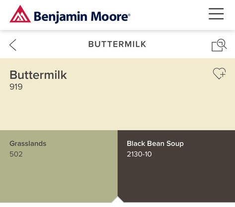 Buttermilk 919 Benjamin Moore Benjamin Moore, Design Seeds, Buttermilk Benjamin Moore, Benjamin Moore Buttermilk, Seeds Color, Benjamin Moore Colors, Rich Textures, Paint Color, Buttermilk