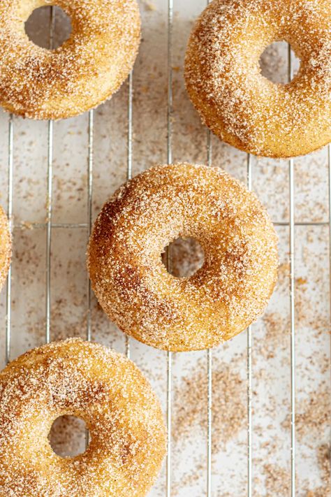 Baked Sourdough Doughnuts with Cinnamon Sugar Sourdough Doughnut Recipe, Sourdough Donut Recipe, Baked Doughnut Recipes, Recipe Using Sourdough Starter, Dough Starter, Sourdough Starter Discard Recipe, Baked Donut Recipes, Homemade Sourdough Bread, Sourdough Starter Recipe