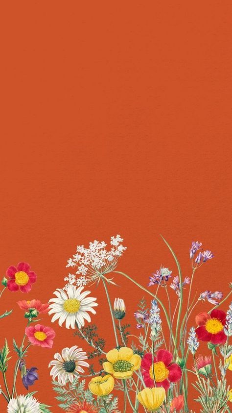 Wildflower Phone Background, Wildflower Iphone Wallpaper, Spring Art Wallpaper, Wildflower Wallpaper Iphone, Bright Spring Wallpaper, Wallpaper Spring Iphone, Orange Floral Background, Wildflowers Background, Orange Flowers Wallpaper