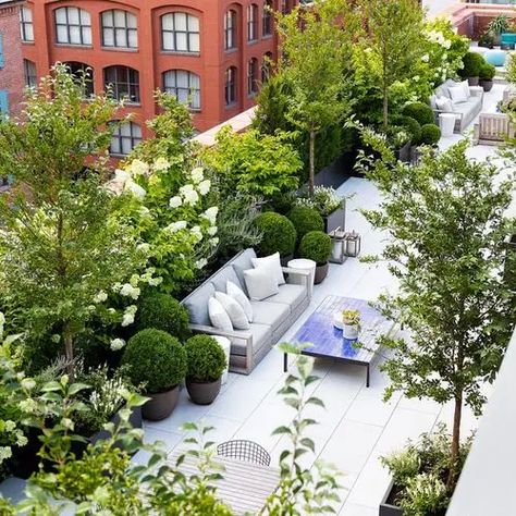 Marrakech House, Formal Garden Design, Roof Garden Design, Rooftop Terrace Design, Rooftop Design, Pergola Design, Sky Garden, Terrace Design, Rooftop Garden