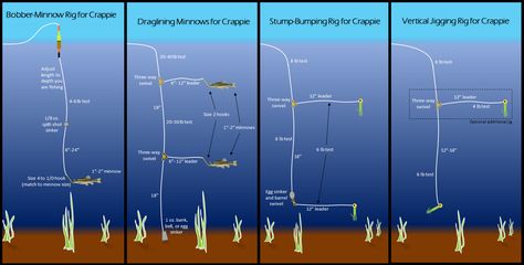 Crappie Rigs, Crappie Fishing Tips, Fishing For Beginners, Fishing Jig, Bass Fishing Tips, Fishing Pictures, Fishing Rigs, Crappie Fishing, Fishing Techniques