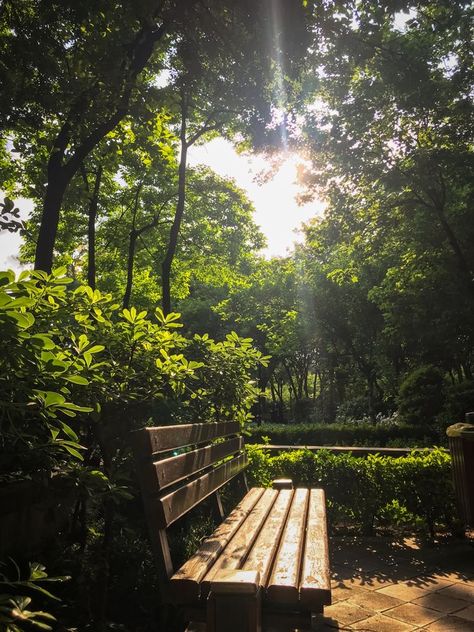 Nature Park Aesthetic, Summer Park Aesthetic, Late Spring Aesthetic, Park Bench Aesthetic, Tehran Aesthetic, Parque Aesthetic, Different Core Aesthetics, Early Spring Aesthetic, Bench Aesthetic