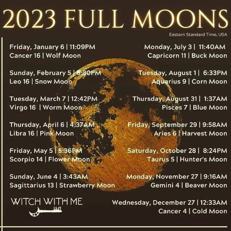 Blue Moon Rituals, Happy Yule, Moon Information, Magic Journal, Corn Moon, Full Moon In Pisces, Moon Chart, Zodiac Cards, Moon Journal