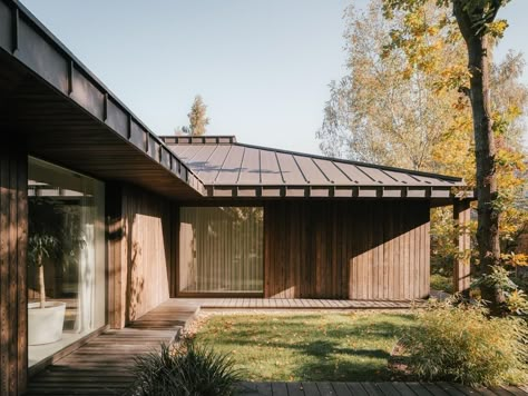 Charred Wood Siding, Cabin 7, Green Terrace, Australia House, Timber Roof, Charred Wood, Villa Plan, Wood Cladding, Timber Structure