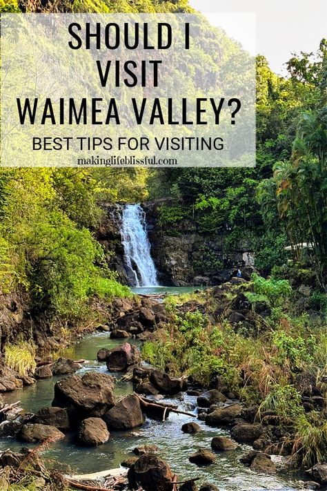 Should I Visit Waimea Valley in Oahu? | Making Life Blissful Waimea Falls, Waimea Valley, Hawaiian History, Polynesian Cultural Center, Activities For Boys, Cultural Activities, Hawaii Vacation, Oahu Hawaii, Tropical Paradise