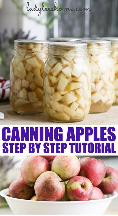 Apples Canning, Apple Recipes For Canning, Can Apples, Preserving Apples, Canning Applesauce, Canning Apples, Easy Canning, Pressure Canning Recipes, Canning Fruit