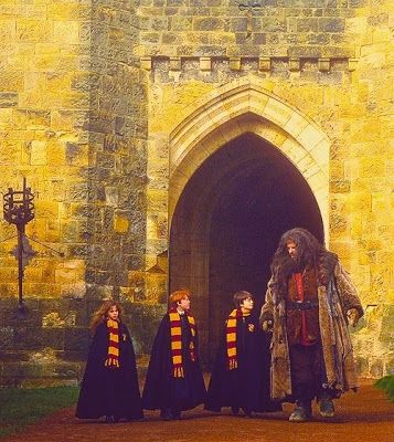 Hagrid and Golden Trio Stile Harry Potter, Glume Harry Potter, Harry Potter Wall, Filmy Vintage, Buku Harry Potter, Neville Longbottom, Images Harry Potter, The Sorcerer's Stone, Hogwarts Aesthetic