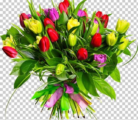 Flower Bouquet Tulip, Flower Bouquet Png, Wedding Png, Wedding Card Design Indian, Psd Free Photoshop, Flower Png Images, Tulip Wedding, Tulip Garden, Photoshop Backgrounds Free