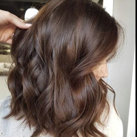 Chocolate Mocha Hair Color Balayage, Hair Color Mocha Brown, Brown Hair Colors Chestnut, Light Brown Hair Single Color, Medium Chestnut Brown Hair Color, Solid Brown Hair Color Light, Level 3 Brown Hair, Rich Medium Brown Hair, Brown Hair Colors Chocolate Medium