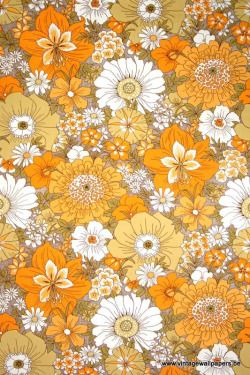 mach die musik von damals nach Wallpapers, Orange, Flowers, White