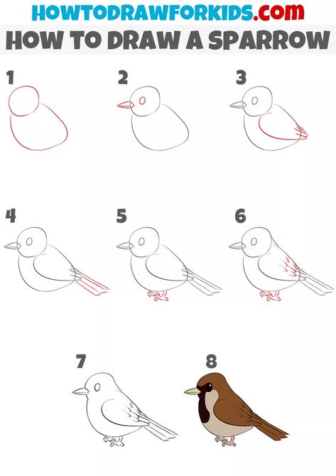 How to Draw a Sparrow for Kids How To Draw A Sparrow Step By Step, Easy Sparrow Drawing, How To Draw Sparrow, How To Draw Birds Step By Step Simple, Sparrow Drawing Simple, Birds Drawing Step By Step, How To Draw A Bird Step By Step, How To Draw Birds Easy, Sparrow Bird Drawing