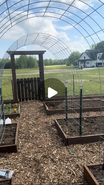 Tamara on Instagram: "We got 2 of our trellises put up yesterday. We used cattle panels and heavy duty zip ties. I can’t wait to see everything growing out there!
.
I thought it would be fun for y’all to hear us while we work. In the younger years of our marriage, we didn’t do projects well together. Pulling the Christmas tree out of the attic would almost cause a divorce! 🤣 After almost 27 years of marriage, we have learned to work well together and actually have fun! Hope y’all enjoyed these behind-the-scenes conversations.
.
.
#garden #gardenobsessed #gardeninspiration #gardenideas #gardening #squarefootgardening #squarefootgarden #cattlepaneltrellis #trellisgarden #thisismarriage #marriagehumor" Cattle Panel Trellis, Cattle Panels, Grow Food, Square Foot Gardening, Marriage Humor, The Attic, Garden Trellis, Zip Ties, Growing Food