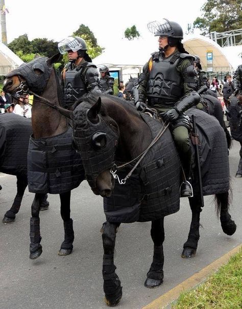 Modern Heavy Armor (imagine centaurs in this riot gear) Dog Armor, Horse Armor, First Day Of Work, Cyberpunk Character, Post Apocalypse, Nature Conservation, Dog Gear, Body Armor, Save Earth