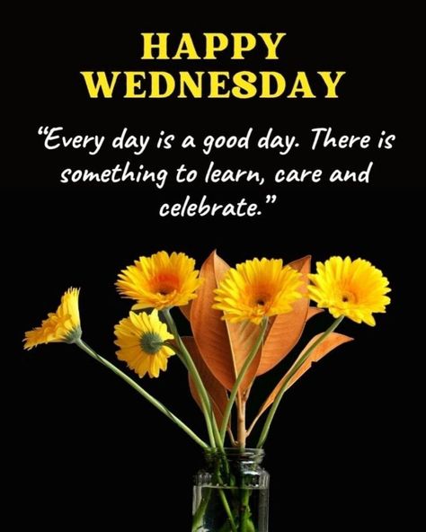 Daily Sayings, Good Morning Nature Quotes, Happy Wednesday Images, Sweet Good Morning Images, Caring Person, Good Morning Posters, Afternoon Quotes, Wednesday Afternoon, Flower Image