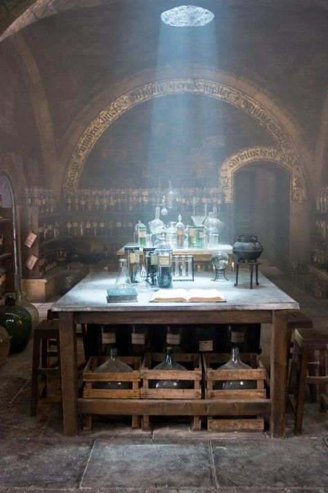 Professor Snape's Potion Classroom, Order of the Phoenix Potion Room Aesthetic, Potion Lab, Potions Lab, Hery Potter, Severus Rogue, Professor Snape, Theme Harry Potter, Hogwarts Aesthetic, Bellatrix Lestrange