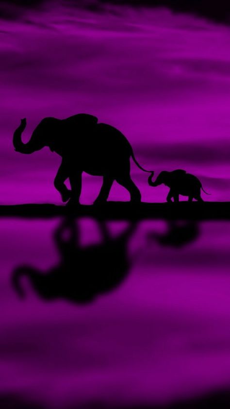 Purple elephant wallpaper Elephant Profile Picture, Purple Elephant Wallpaper, Elephant Background Wallpapers, Dark Elephant Tattoo, Purple Animal Aesthetic, Elephant Aesthetic Wallpaper, Elephants Aesthetic, Elephant Aesthetic, Elephant Phone Wallpaper