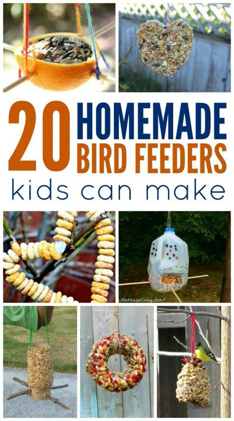 Bird Feeders For Kids, Bird Feeders For Kids To Make, Bird Feeder Craft, Easy Bird, Homemade Bird Feeders, Diy Bird Feeder, Diy Birds, Backyard Birds, Nature Crafts