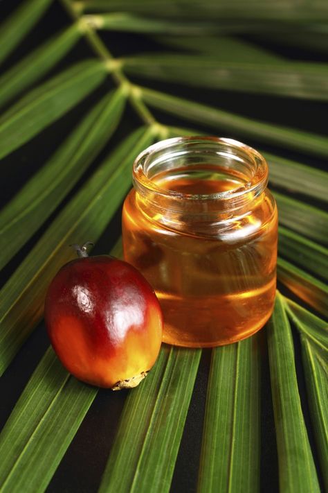 Pack a Nutritional Knockout with Red Palm Oil Benefits Of Olive Oil, Palm Fruit Oil, Red Palm Oil, Diet Results, Red Palm, Oil Benefits, Dr Oz, Alternative Health, Health Facts