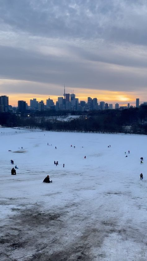 torontogirlsblog on Instagram: Sledding into the sunset 💙❄️ 📍 Riverdale Park, Toronto Riverdale Park Toronto, Riverdale Park, The Ronettes, Sleigh Ride, The Sunset, Sled, Riverdale, Toronto, Water