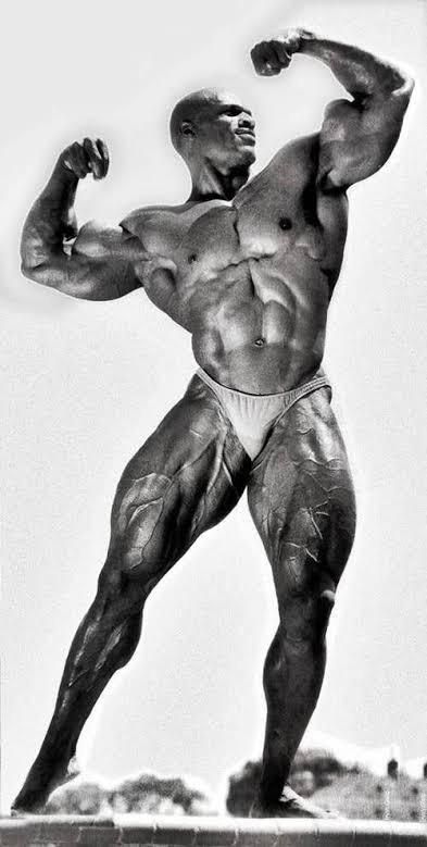 남성 근육, Men's Bodybuilding, Arnold Schwarzenegger Bodybuilding, Schwarzenegger Bodybuilding, Bodybuilding Pictures, Life Drawing Reference, Man Anatomy, Ronnie Coleman, Male Pose Reference