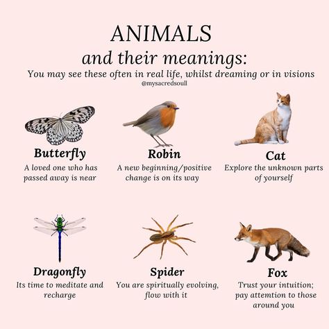 a few common animals you may see often - whether it’s walking down the street, appearing in your dream or visit you whilst meditating - they have a message for you! 🤍 how many have you come across? 👼🏽 #animals #animalmeanings #animalsynchronicities #butterflymeaning #spiritanimals #spiritanimal #spiritguides #spiritguide #crystals #animalsymbolism #zodiacsigns #signssignseverywheresigns #signsfromtheuniverse #signsfromheaven #signsfromabove #signsfromspirit #spirituality #spiritualawakening Animal Meanings Symbols, Animal Symbolism And Meanings, Animals Meaning, Butterfly Meaning, Signs From Heaven, Animal Meanings, Signs From The Universe, Animal Guides, Walking Down The Street