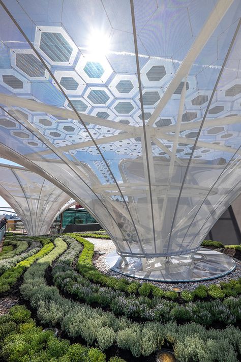 Gallery of Germany Pavilion – Milan Expo 2015 / SCHMIDHUBER + Milla & Partner + Nüssli. - 9 Solar Architecture, Solar Tree, Pavilion Design, Expo 2015, Unique Buildings, Shade Structure, Urban Farming, Futuristic Architecture, Ningbo